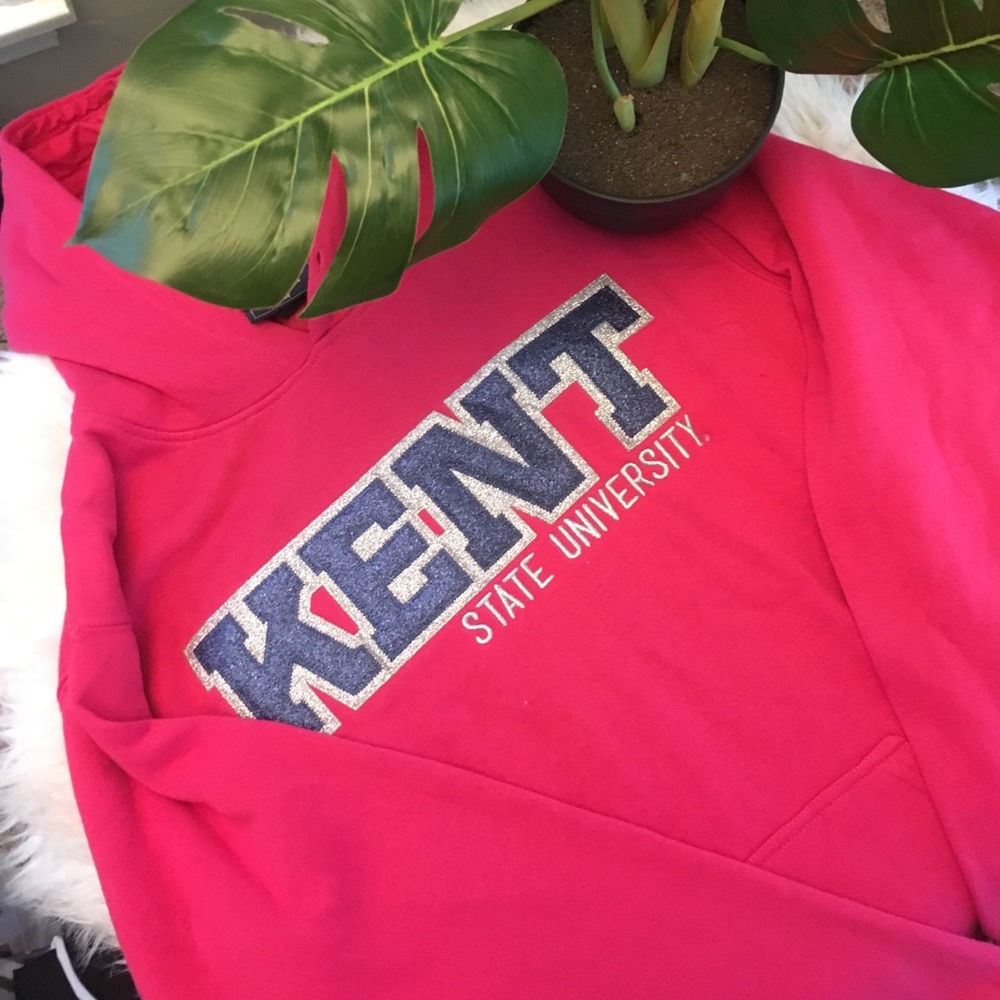 NWOT Embroidered Kent State Hoodie